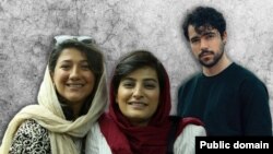 شروین حاجی‌پور، نیلوفر حامدی و الهه محمدی