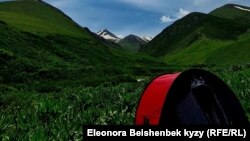 Кыргызстан, Суусамыр. 2023