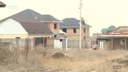 Жер талаштын тамыры кайда?