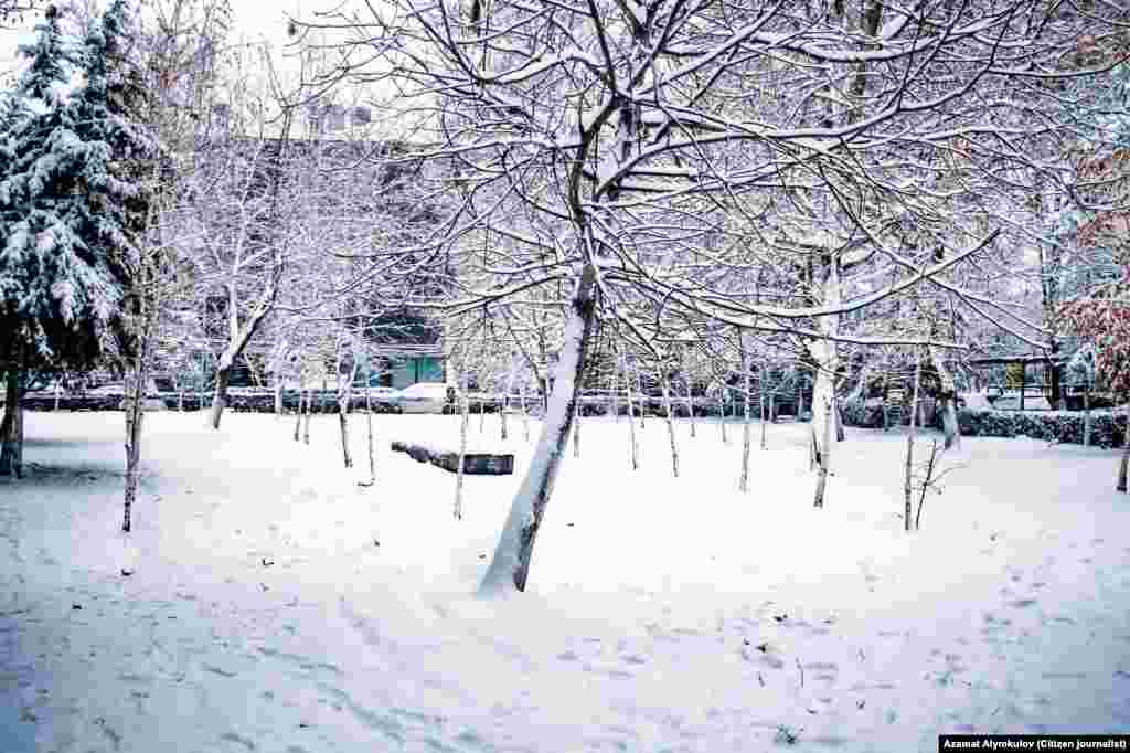 Короодогу кыш.