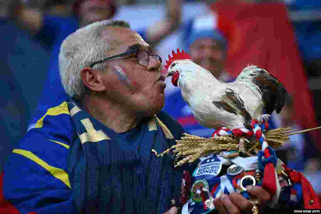 Фанат сборной Франции перед матчем группы D между Австрией и Францией на &laquo;Дюссельдорф Арене&raquo;, 17 июня. Франция одержала победу над Австрией со счётом 1:0, несмотря на то что Килиан Мбаппе завершил игру со сломанным носом