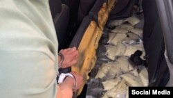 ИИМ тарткан сүрөт. 