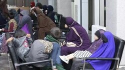 Эки жылда Сириядан 432 жаран алынып келинди