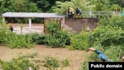 Որոնողափրկարարական աշխատանքները Լոռիում