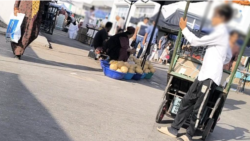 Lebapda tomusky dynç alyşda iş gözleýän ýetginjekleriň sany göz-görtele artdy