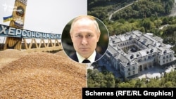 Компанія вивезла тисячі тонн українського збіжжя до Ірану 