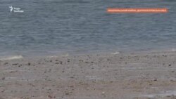 Без води та під обстрілами: які наслідки знищення Каховської ГЕС для Нікопольщини? (відео)