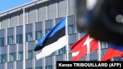 Следующие муниципальные выборы пройдут в Эстонии в октябре 2025 года