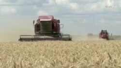 یک‌سالگی تهاجم به اوکراین؛ بحران غذایی جهان بعد از حمله روسیه