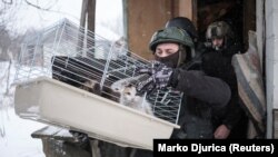 Украинанын чыгышындагы тургундарды эвакуациялоо