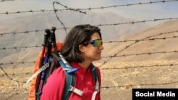 نیلوفر حامدی