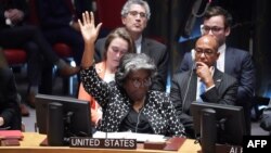 لیندا توماس گرینفیلد، سفیر آمریکا در سازمان ملل متحد 
