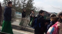 Diňle: Ilat ýazuwynyň netijeleri boýunça äşgär edilen sanlar ýurtdaky demografik meýillerden habar berýär
