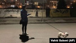 İranlı qadın parkda itini gəzdirir.