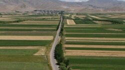 Շիրակի մարզում գյուղացիները դժգոհում են՝ ապահովագրական ընկերությունները կրած վնասին համարժեք փոխհատուցում չեն տրամադրում