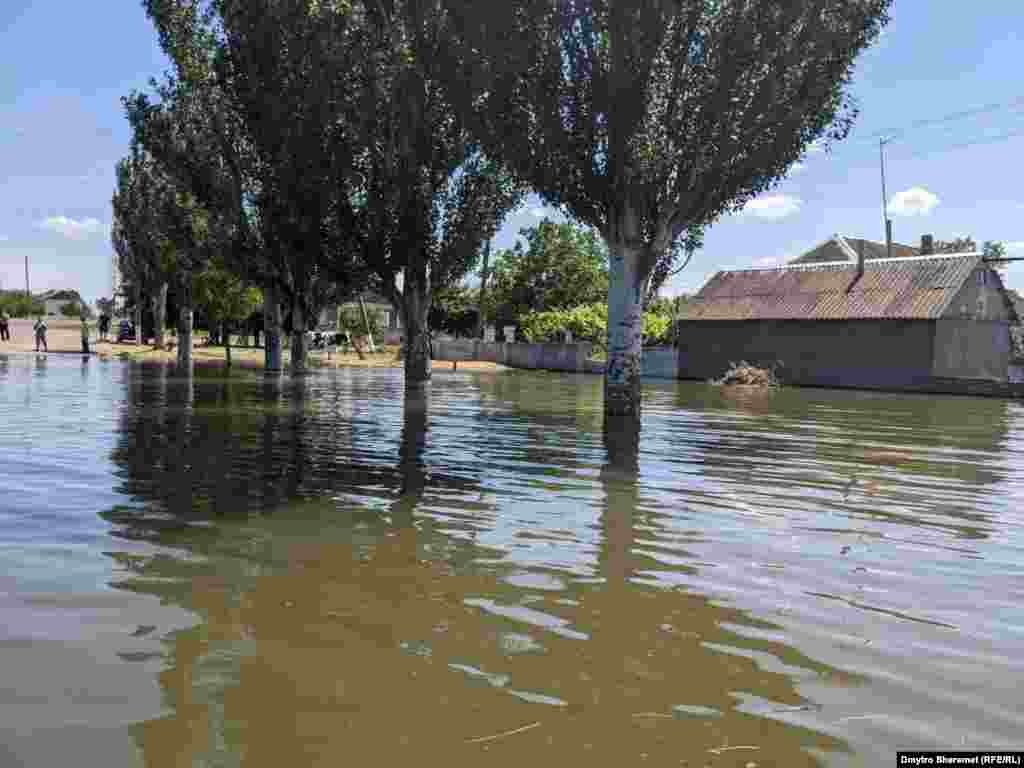 Жителі Афанасіївки кажуть, що вода піднялася за добу