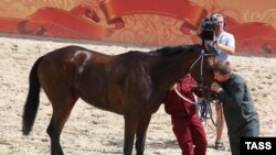 Кадыров Рамзан ву Мосскварчу централан ипподромехь Оьрсийчоьнан президентан цIарх совгIатна дуьхьа хIиттийначу къовсамашкахь, 2009 шо, архивера сурт 