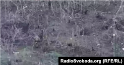 Більш світлий колір однострою –ймовірно, форма ЗСУ