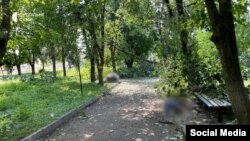 Белополье шаарында аткылоого туш болгон парк.