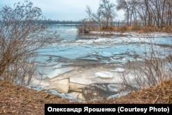 Сухачівка, річка Річище у плавнях