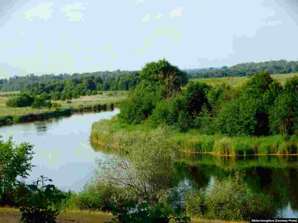 Йөрәктау төньягындагы сулык, Үлеидел