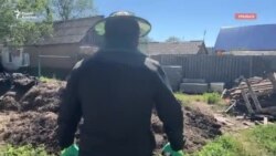 Как в Уральске используют красных червей для утилизации мусора и производства удобрений 