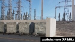 Bezeg suraty. Türkmenistan.