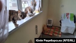 Людмилине "господарство"