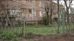 «Զատիկ»-ի սաները դիտորդական խմբին մտահոգիչ պատմություններ են պատմել