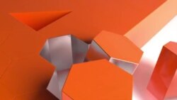 ТикТокту жабуу цензурага жол ачабы? 