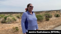 Линда Паркер, Калифорния штатындагы Шамалдан жана күндөн энергия алууга адистешкен консалтинг борбордун президенти