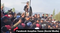 Социалдык түйүндөрдө тарап жаткан видеодон алынган сүрөт.