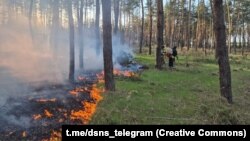 ДСНС додає, що рятувальники запобігли розповсюдженню вогню на більшу площу та житлові будівлі поруч. Ніхто не постраждав