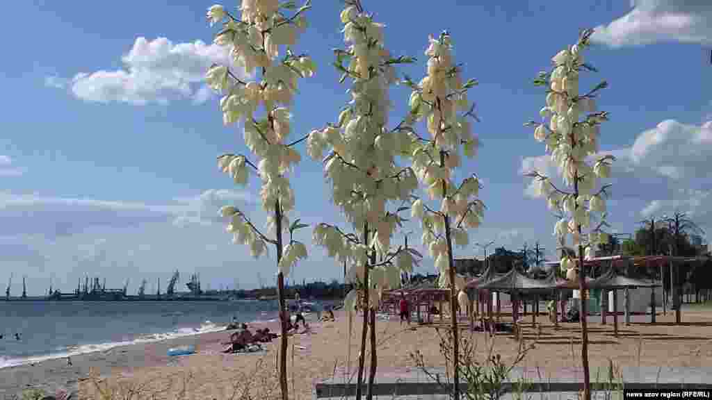 Безлюдні бердянські пляжі