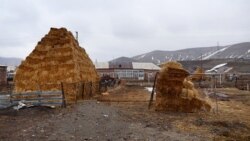 «Դարը փոխվեց». եզդիական համայնքում կարծրատիպեր են կոտրվել