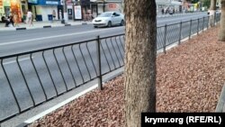 Покриті щебенем газони на Проспекті Кірова – Сімферополь, липень 2024 року