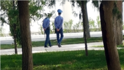 Diňle: Jynsy azlyklaryň wekilleri ýurtda özlerine ýowuz daraşylýandygyny aýdýar, Hajyýew 'beýle däl' diýýär
