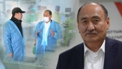 “Кийинки жылы боорду алмаштыра баштайбыз”