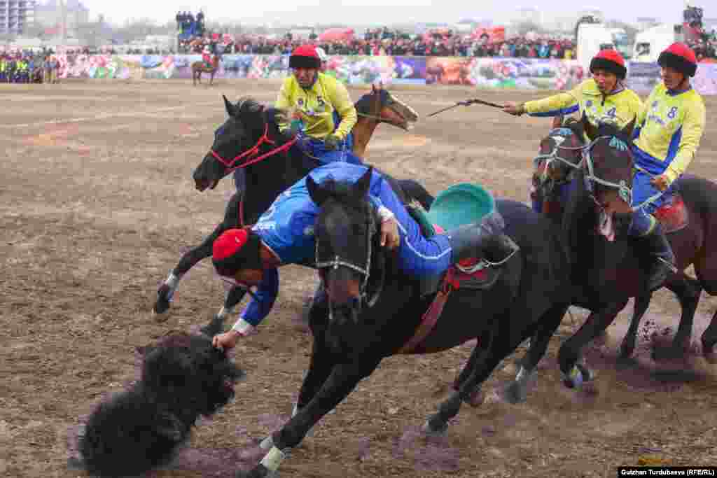 Көкбөрү Кыргызстандагы популярдуу улуттук спорттун бири. Спорттун бул түрүнөн республикалык мелдештер жылына үч жолу: Нооруз, 9-Май Жеңиш күнү жана 31-август Эгемендик күнүндө өтүп келет.&nbsp;