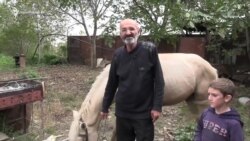 «Ամեն ինչ կորցրի, հիմա ընդամենը մի ձի ու մի նոր թոռնիկ ունեմ». Արցախից տեղահանված