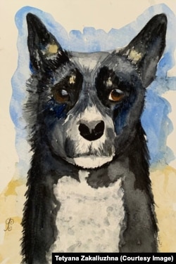 Пес Чорний, який служив у підрозділі тата Ярини