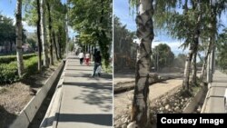 Жолду кеңейтүү иштерине чейинки (солдо) жана андан кийинки көрүнүш. Ахунбаев көчөсү, Бишкек. (Сүрөт эколог-активисттерге таандык)