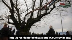 Общественность восприняла надругательство над священным для абхазов древом, да еще и в канун Благовещения, как знак свыше