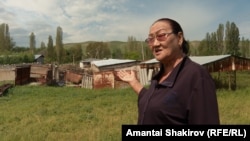 Сайракан Жунушева