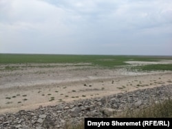 Каховское водохранилище высохло и зарастает травой, август 2023 года