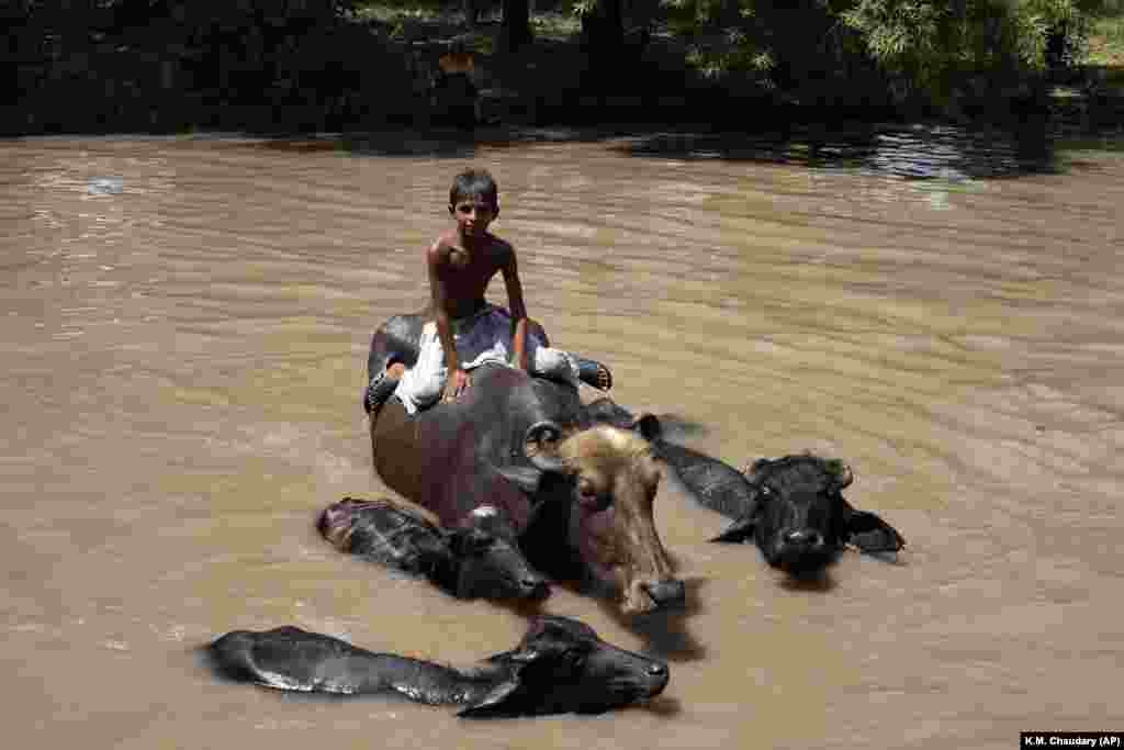 نهری در لاهور؛ پاکستان کمتر از یک درصد از ردپای کربنی جهان (میزان گازهای گلخانه&zwnj;ای) را تولید می&zwnj;کند، اما از تأثیرات شدید و چندجانبهٔ تغییرات اقلیم رنج می&zwnj;برد. 
