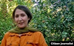 شریفه محمدی