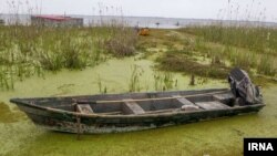 یک بخش خشک‌شده تالاب انزلی