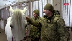 Іпотерапія: як коні допомагають українським військовим під час реабілітації (відео)