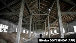 На початку травня почала діяти заборона на постачання пшениці, кукурудзи, ріпаку та насіння соняшнику з України до пʼяти країн ЄС